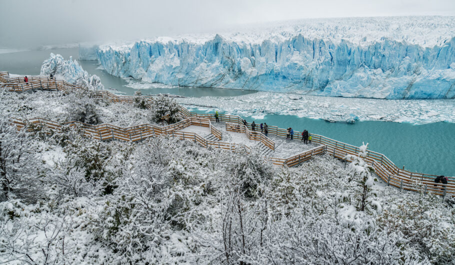 El Calafate no Inverno - passarelas do Glaciar Perito Moreno com neve - shutterstock_489507952 El Calafate no inverno: vale a pena incluir no roteiro da família?