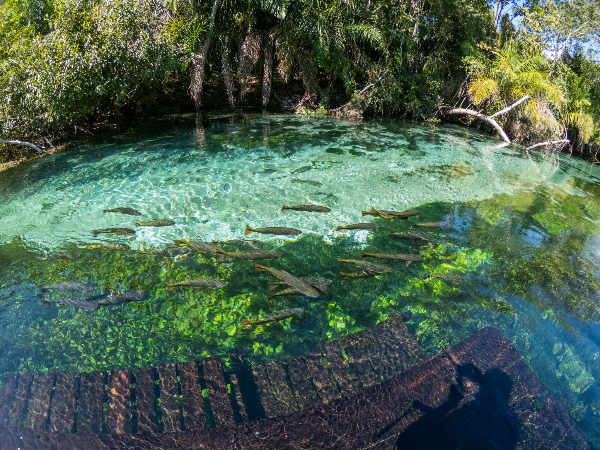 Bonito (MS) - Viajar com Crianças