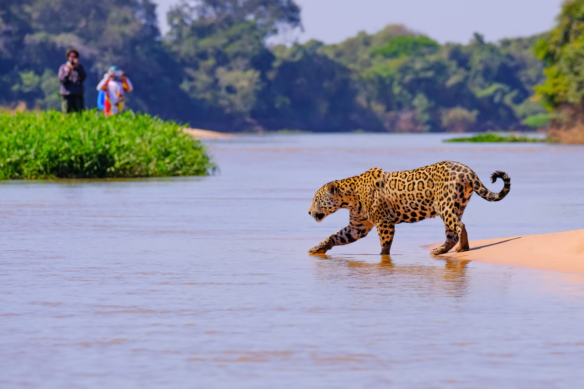 Pantanal - Viajar com Crianças