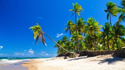 Península de Maraú-shutterstock_1766331887 (1)